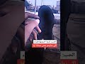 كلام الحق اكسبلور كلام الحق اكسبلور