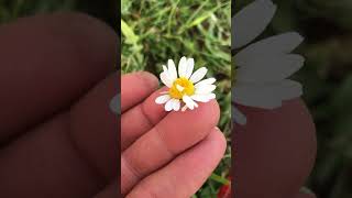 Allah Eyer Vad Ederse Neden Olmasın Şfet