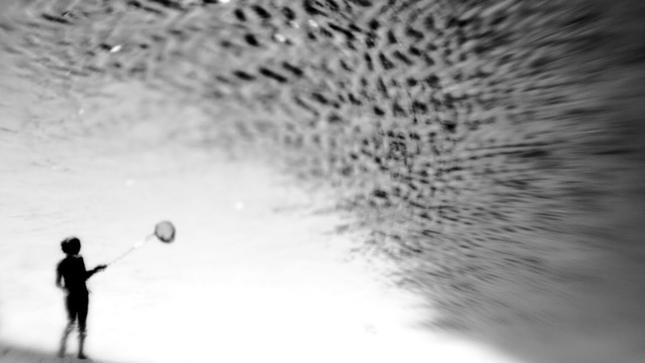 echolyn, Water In Our Hands , part vi