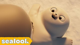 #031: IT'S NOT ME! | SEALOOK | EP.35