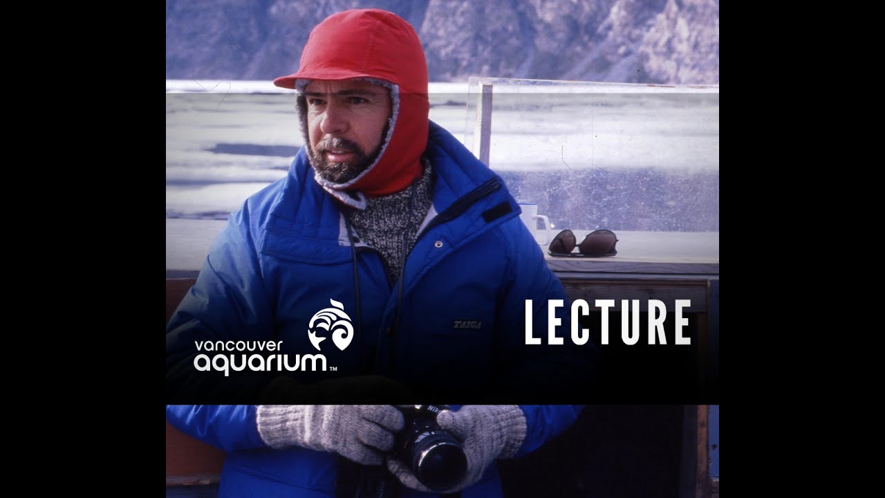 Arctic Talk Show - Doug Pemberton, Photographer & Diver (Northern Spotlights)