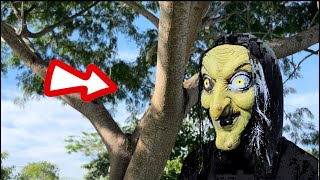 Encontramos la casa de una bruja 🧙‍♀️ 😱😱 by Familia Terán 12,987 views 6 months ago 1 minute, 30 seconds