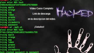Hacking con Python (Descarga Pack de Videos MEGA)