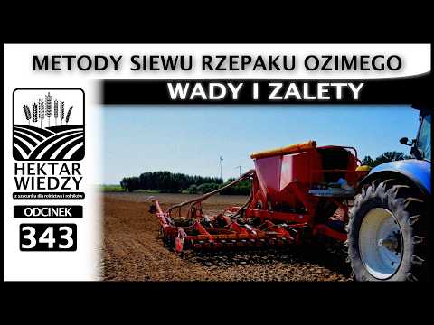 METODY SIEWU RZEPAKU OZIMEGO WADY I ZALETY | ODCINEK 343