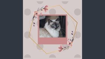 Pulsating Lonely Kitten