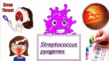 Streptococcus pyogenes Causes, Symptoms, identification, Treatment, and Prevention (English)