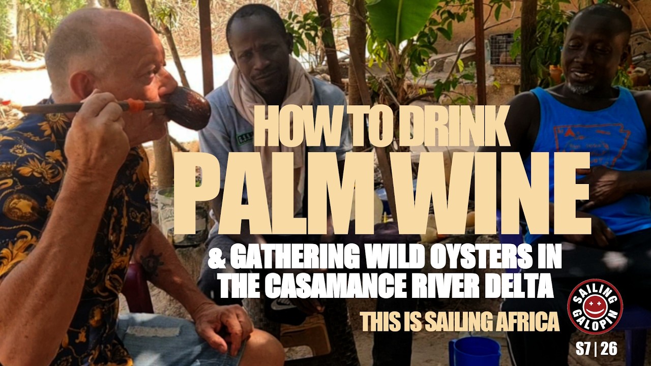 ⁣How To Drink Palm Wine | & Hunting For Wild Oysters In The Casamance River Delta | S7 Epsd 26