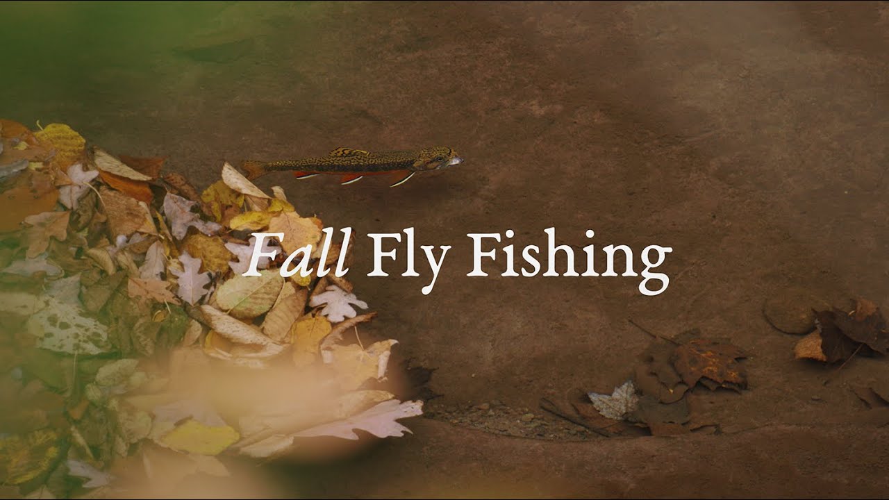 Fall Fly Fishing - YouTube