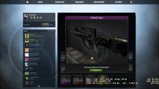 My first CSGO case opening (New weapon and case) screenshot 3