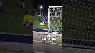 No pudimos ganar. Trofeo y medalla de 2do. Lugar.  categ. 2016-17.   #filipenses413 #tigresuanl