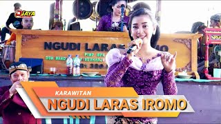 NGUDI LARAS IROMO LIVE KALUWAN BOLOH TOROH