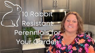 10 Rabbit Resistant Perennials for your Garden