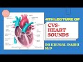 Heart sounds explained by dr krunal dabhi md homoeopath