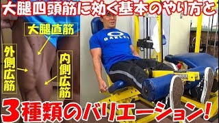 ダンベルを使った大腿四頭筋トレーニング5選 筋トレ効果を最大限引き出すには Sposhiru Com