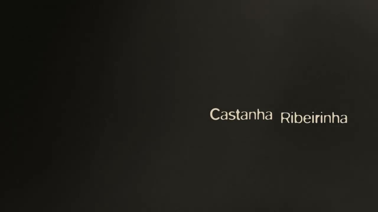 Tinta: Castanha Ribeirinha - Cores que Tocam / Coral