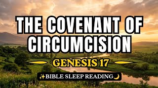 Nighttime Bible Reading 🌌 Genesis Chapter 17 for Sleep 🌙 Bible Reading with LoFi 🎧