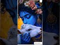 hare Krishna hare Rama Krishna Krishna hare hare ❤️💗🙏