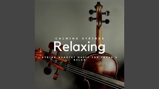 Relaxing String Quartet Music for Focus & Relax