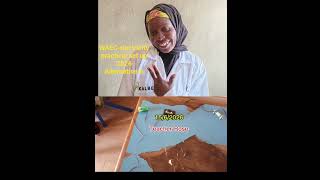 How the WAEC 2026 alternative A electricity practical set up looked like . #waec #waecgce.