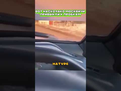 Москвичи совсем oтyпeли 🤦🏻♂️ 🤣 #авто
