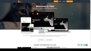 Peto - Responsive WooCommerce WordPress Theme for Pets and Vets