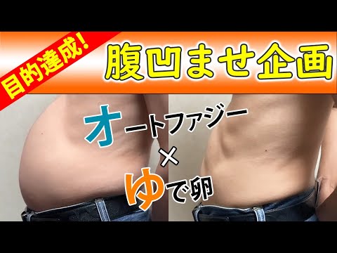 ☆目的達成☆『オートファジー×ゆで卵』最強！ぽっこりお腹・下っ腹はへこませられるのか？9ヶ月目【完結】