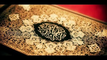 سورة البينة الشيخ حاتم فريد