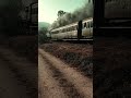 Transiberiana d'Italia - Locomotiva a vapore Gr 940.041- #Shorts
