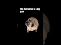 The like button is a dog paw #trending