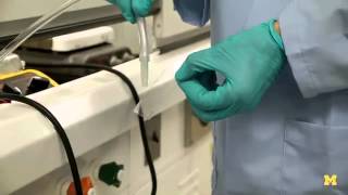 Gold Conductor Grows Its Own Wires
