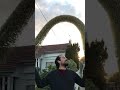 Suburban Bushman webisode 4, hanging dingus erectus plant