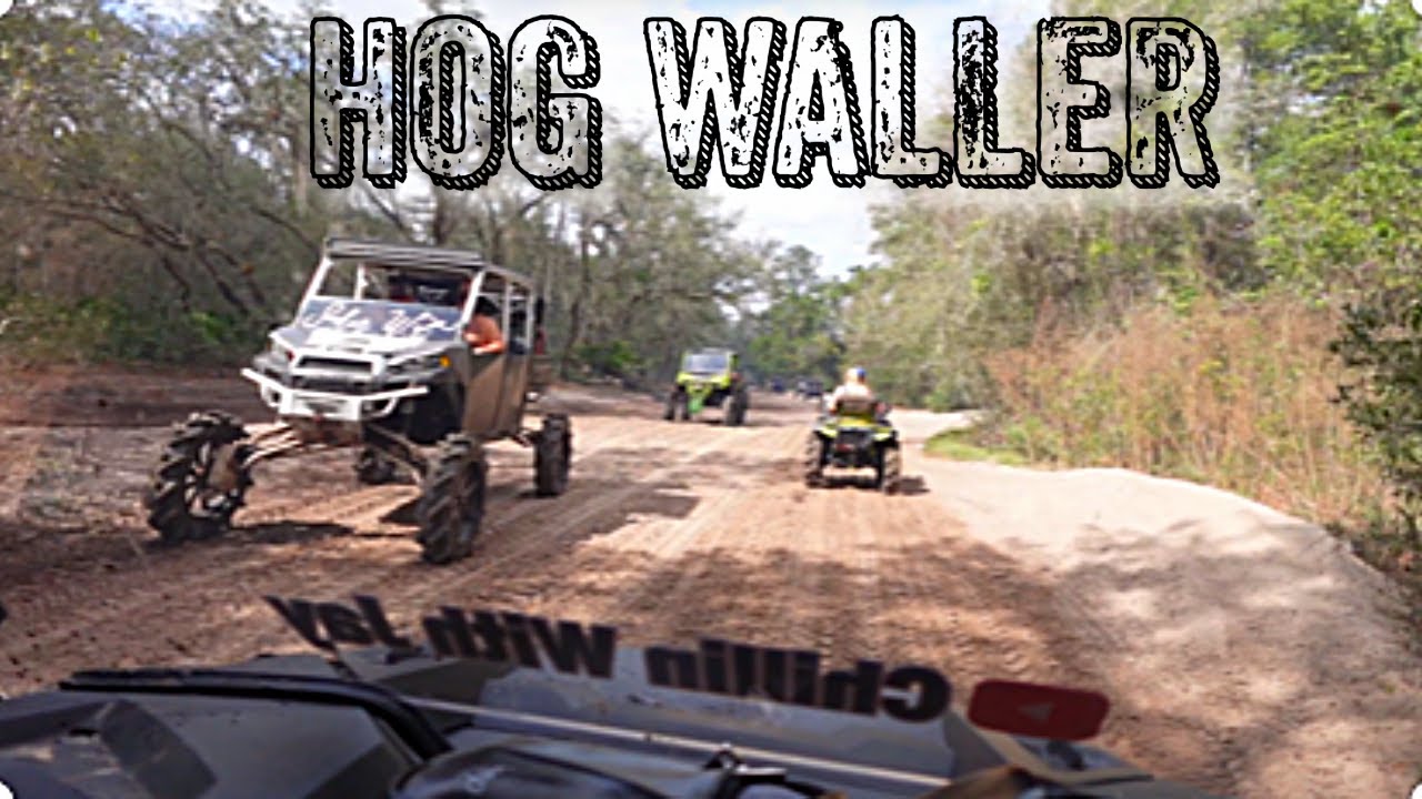 Hog Waller Palatka FL YouTube