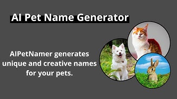 Naming Your Pet Just Got Easier with AI Pet Name Generator | AI Pet Name Generator Demo