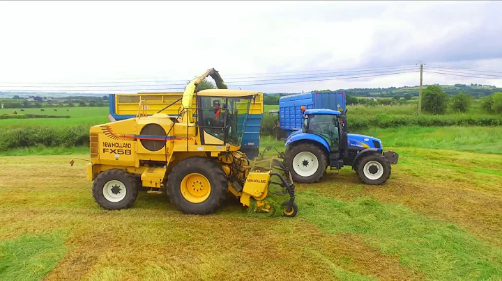 Roy Gill Agri