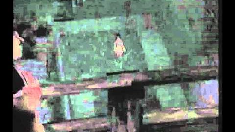 [ Fatal Frame 2 cutscene ] : Chapter 5 - Broken Neck behind Mayu - HD