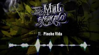 11.- Pinche Vida - Santa Grifa (El Mal Ejemplo VOL.3) HD chords