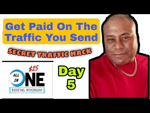 All in One $25 Digital Business Review and Bonus - Step by Step Affiliate Marketing Day 5 Traffic
