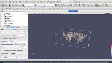 Paraview visible human dataset - isovolume
