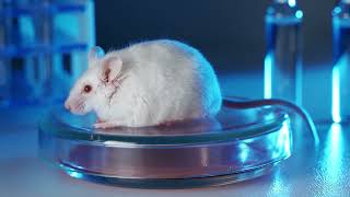 Medlab 2023 Trailer
