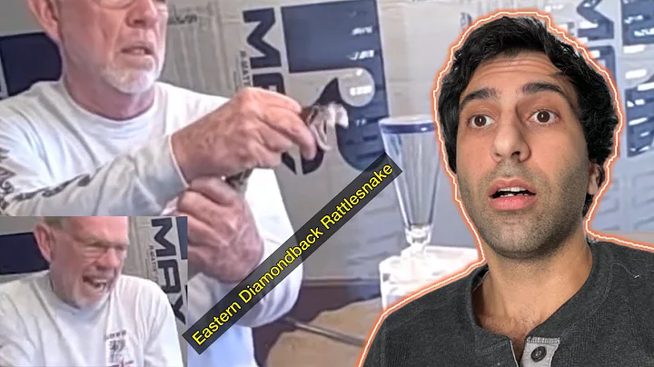 “Man Bitten by Eastern Rattlesnake” | Mark’s Reptiles reacts