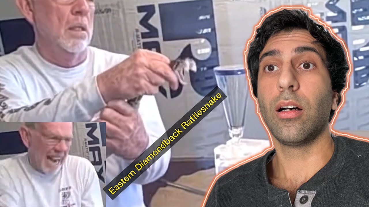 “Man Bitten by Eastern Rattlesnake” | Mark’s Reptiles reacts