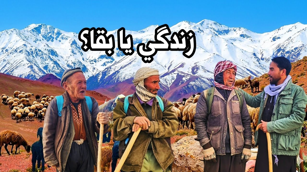 زندگی سخت چوپان‌ها در کوه‌های بامیان | گزارش واقعی