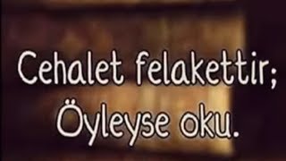 Cehalet Felakettir...