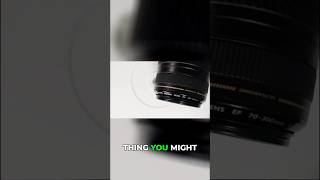 STM vs. USM Lenses: which one’s better