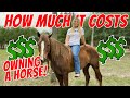 HOW MUCH DOES IT COST TO OWN A HORSE!? | DETAILED NUMBERS $$