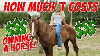 HOW MUCH DOES IT COST TO OWN A HORSE!? | DETAILED NUMBERS $$