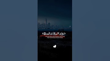 قرآن كريم| وَلَقَدْ خَلَقْنَا الْإِنْسَانَ وَنَعْلَمُ مَا تُوَسْوِسُ بِهِ نَفْسُهُ |