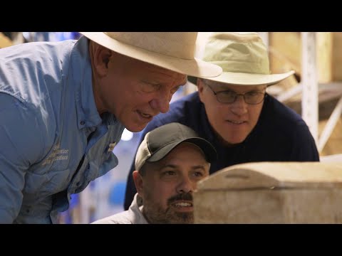 Searching For A King: Israel's United Kingdom: The Complete Series