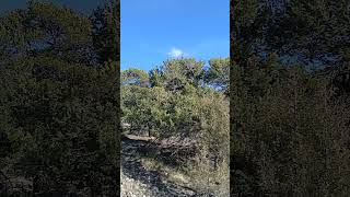 2693 Easy Way, Crestone Co