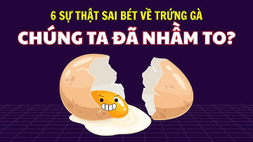 6 SỰ THẬT SAI BÉT về trứng gà, chúng ta đã NHẦM TO?